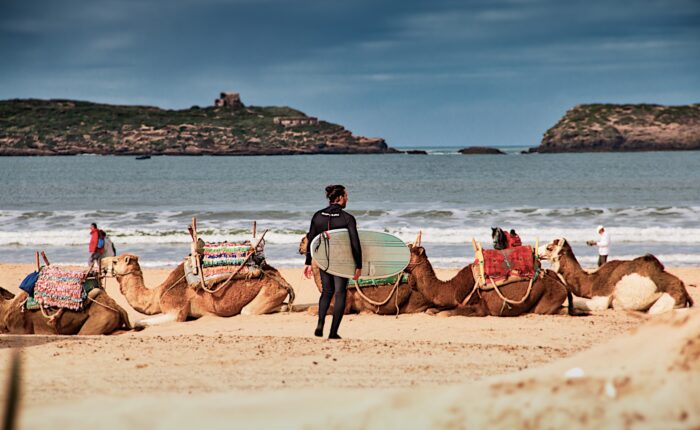 ESCURSIONE A ESSAOUIRA DA MARRAKECH